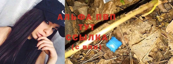 Альфа ПВП Баксан