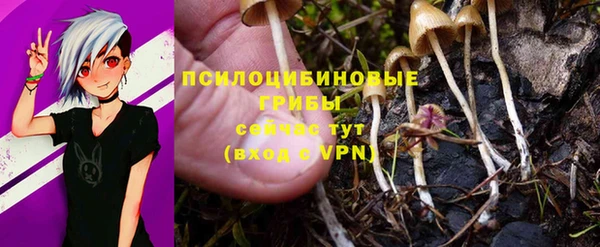 Альфа ПВП Баксан