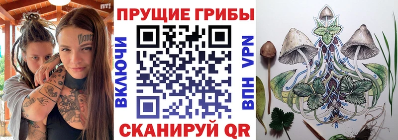 купить  цена  Сунжа  Галлюциногенные грибы прущие грибы 